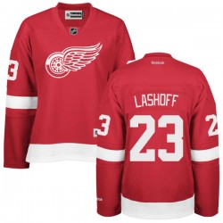 2013-14 Brian Lashoff Detroit Red Wings Winter Classic Game Worn Jersey –  “2014 Winter Classic”